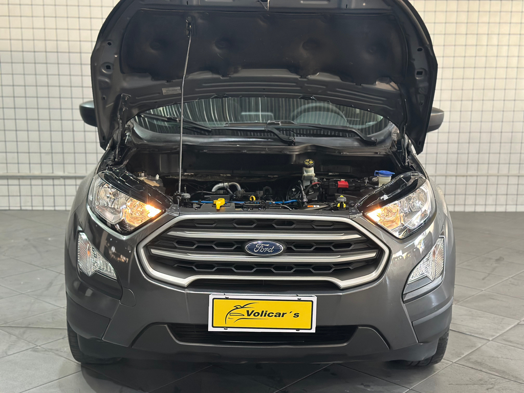 Ford EcoSport Cinza