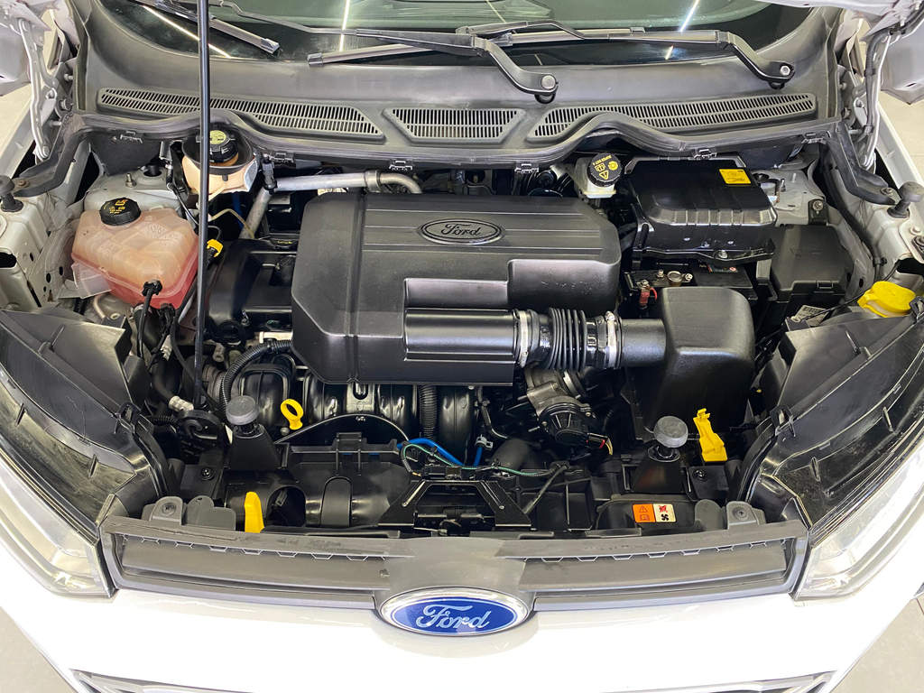 Ford EcoSport Branco