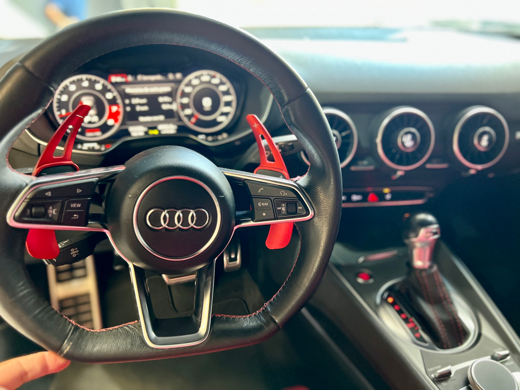 Audi TT Cinza
