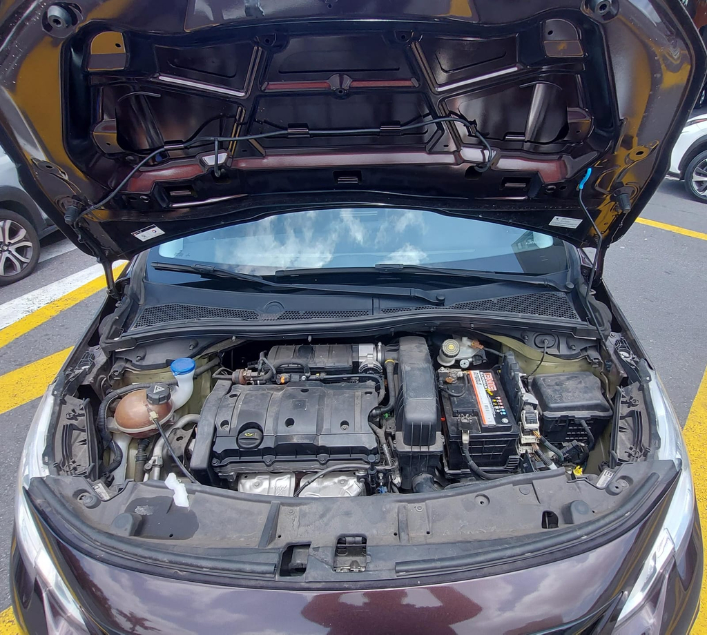 Peugeot 2008 Marrom