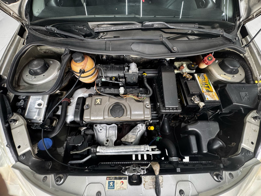 Peugeot 207 Prata