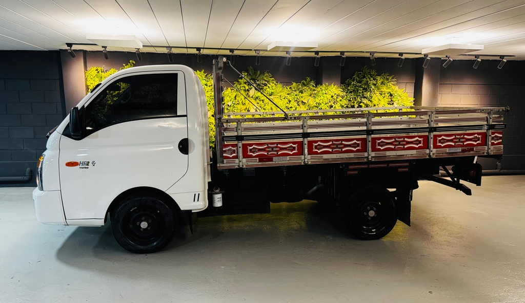 Hyundai HR Branco