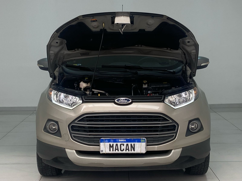 Ford EcoSport Prata