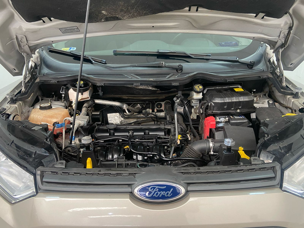 Ford EcoSport Prata