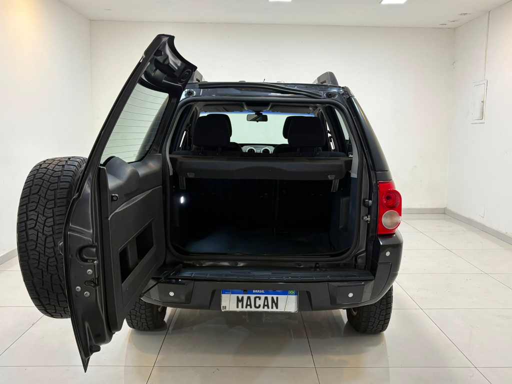 Ford EcoSport Cinza