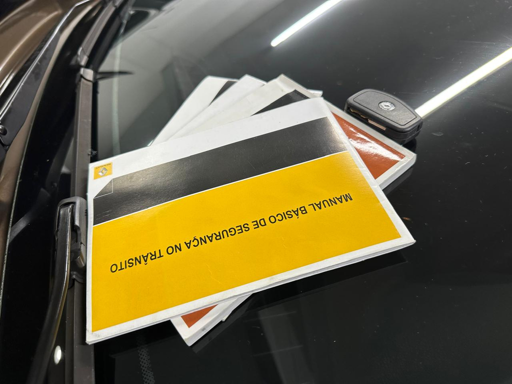Renault Duster Marrom