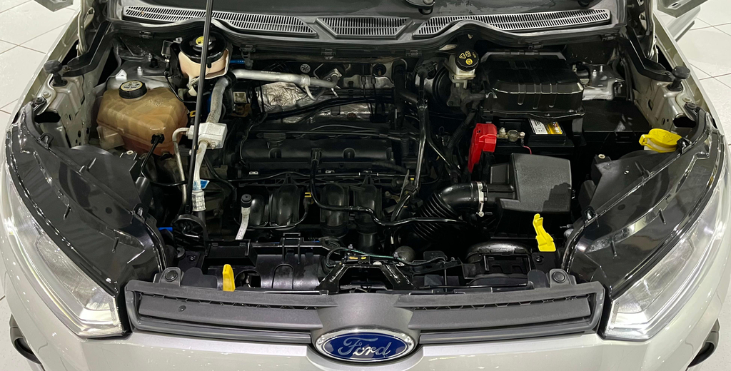 Ford EcoSport Prata