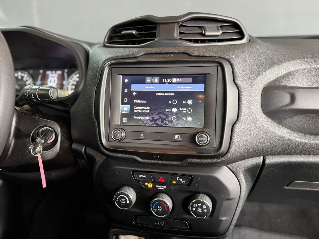 Jeep Renegade Cinza