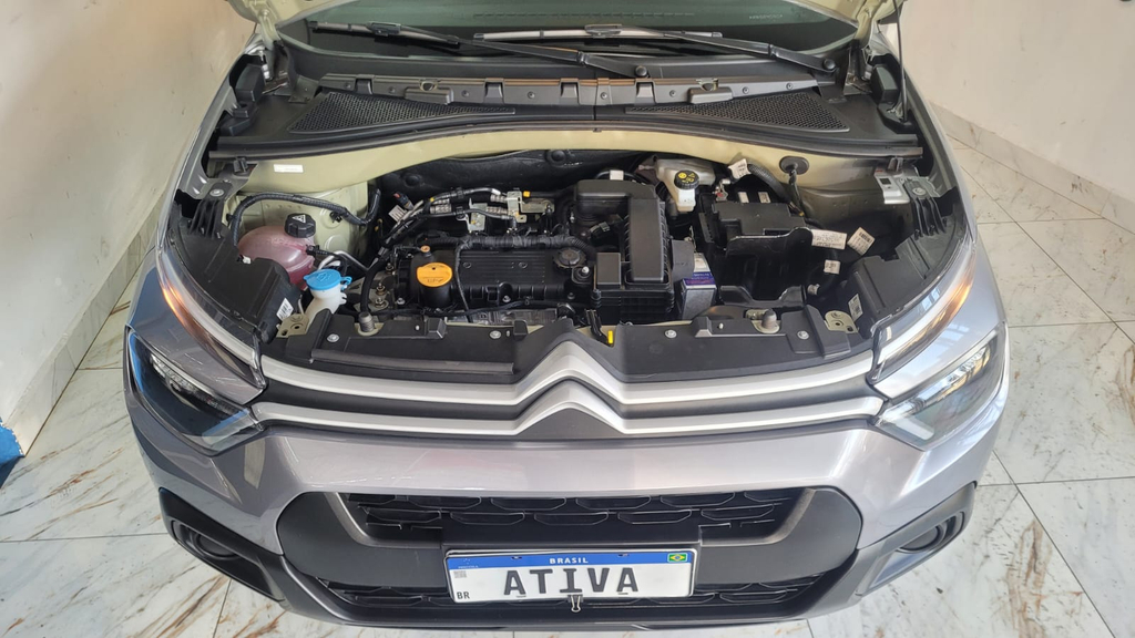 Citroen C3 Cinza