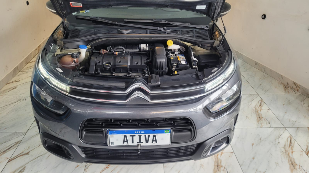 Citroen C4 Cactus Cinza