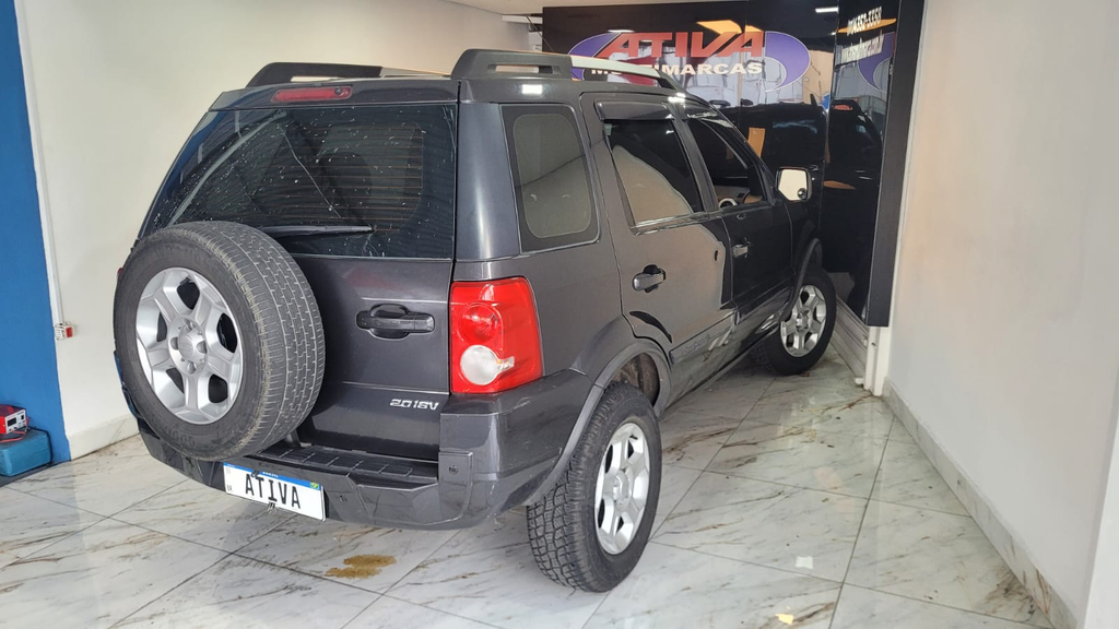 Ford EcoSport Cinza