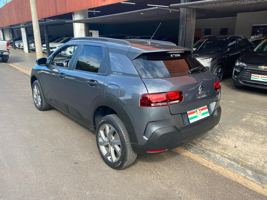 Citroen C4 Cactus Cinza