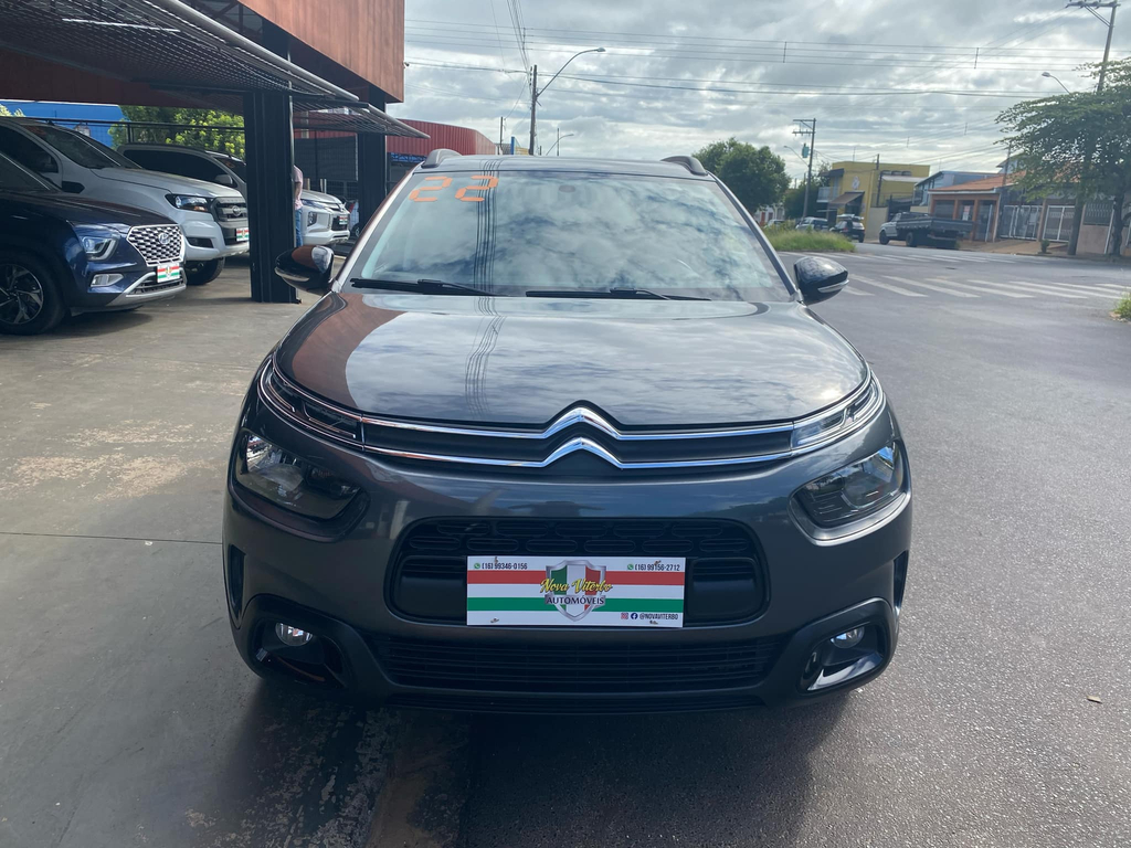 Citroen C4 Cactus Cinza