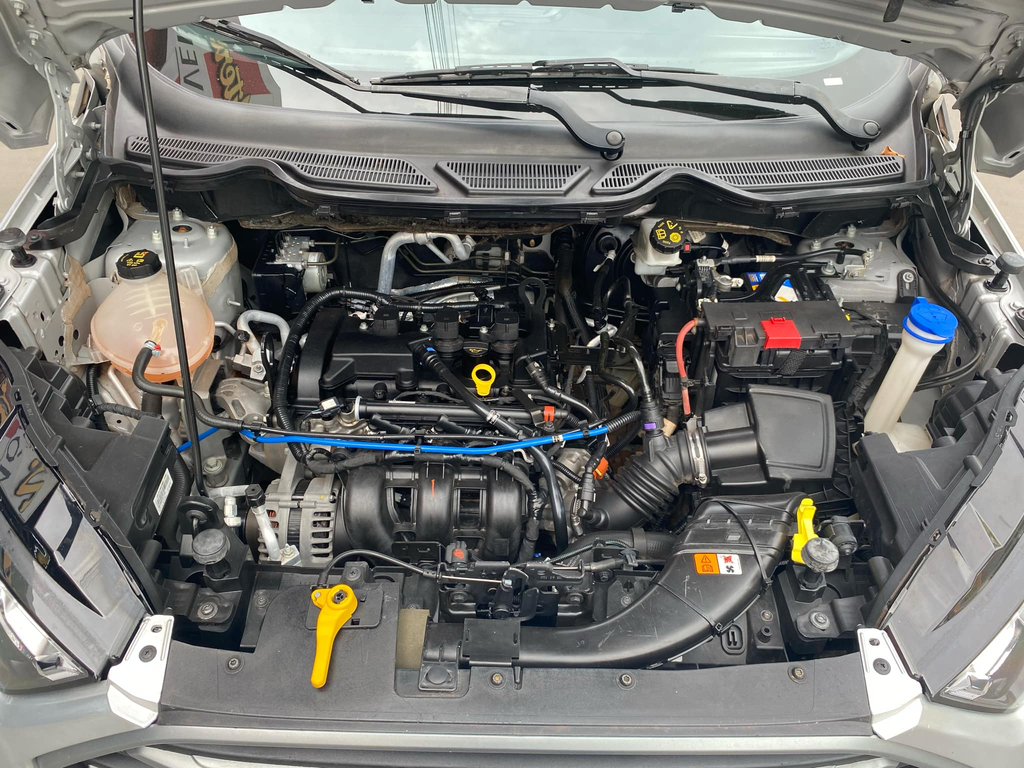 Ford EcoSport Prata