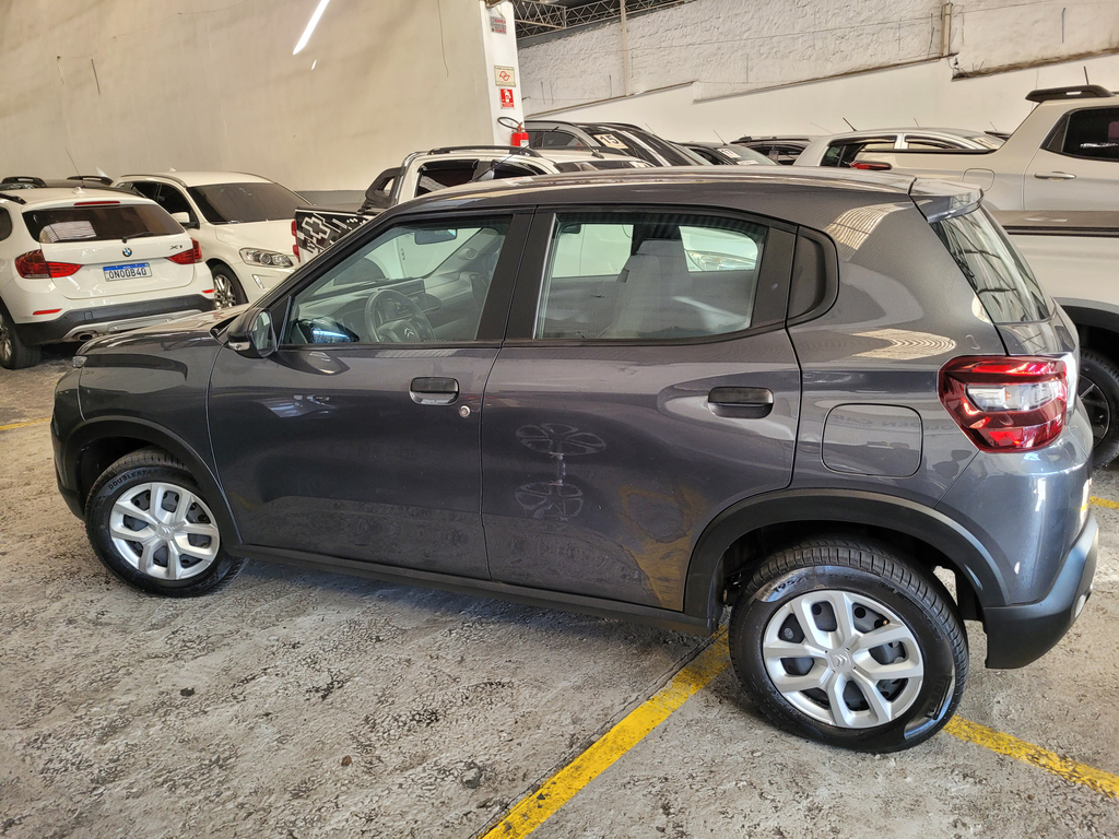 Citroen C3 Cinza