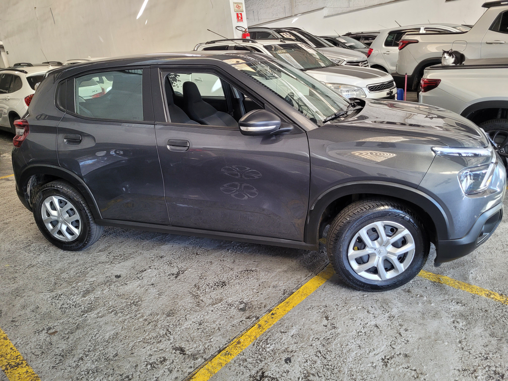 Citroen C3 Cinza