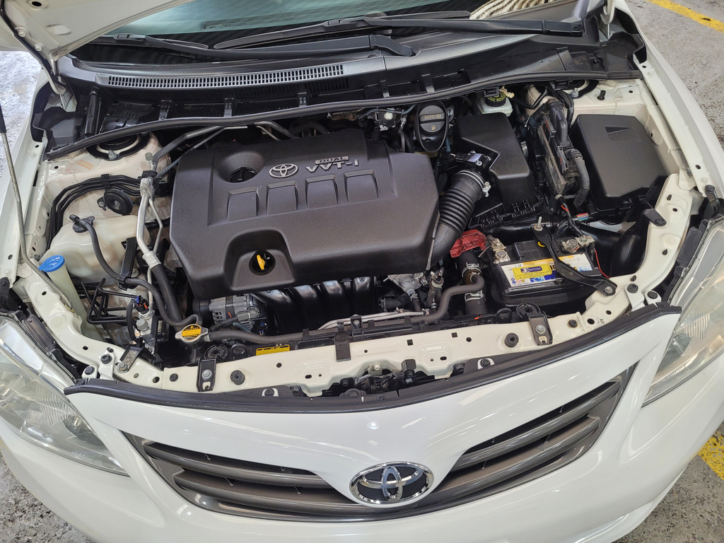 Toyota Corolla Branco