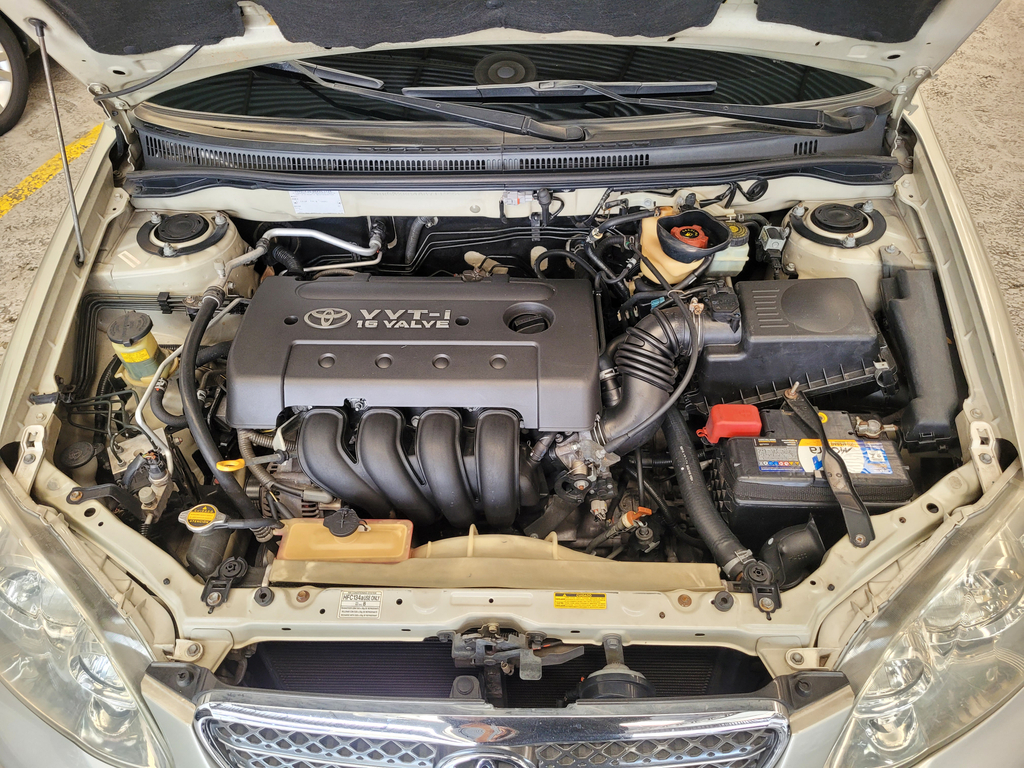 Toyota Corolla Bege