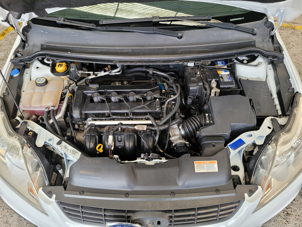 Ford Focus Hatch Branco