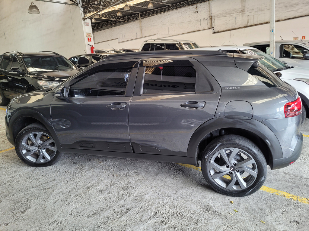 Citroen C4 Cactus Cinza