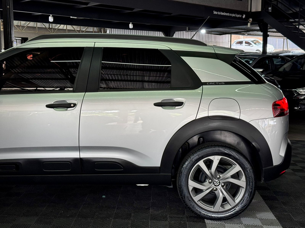 Citroen C4 Cactus Prata