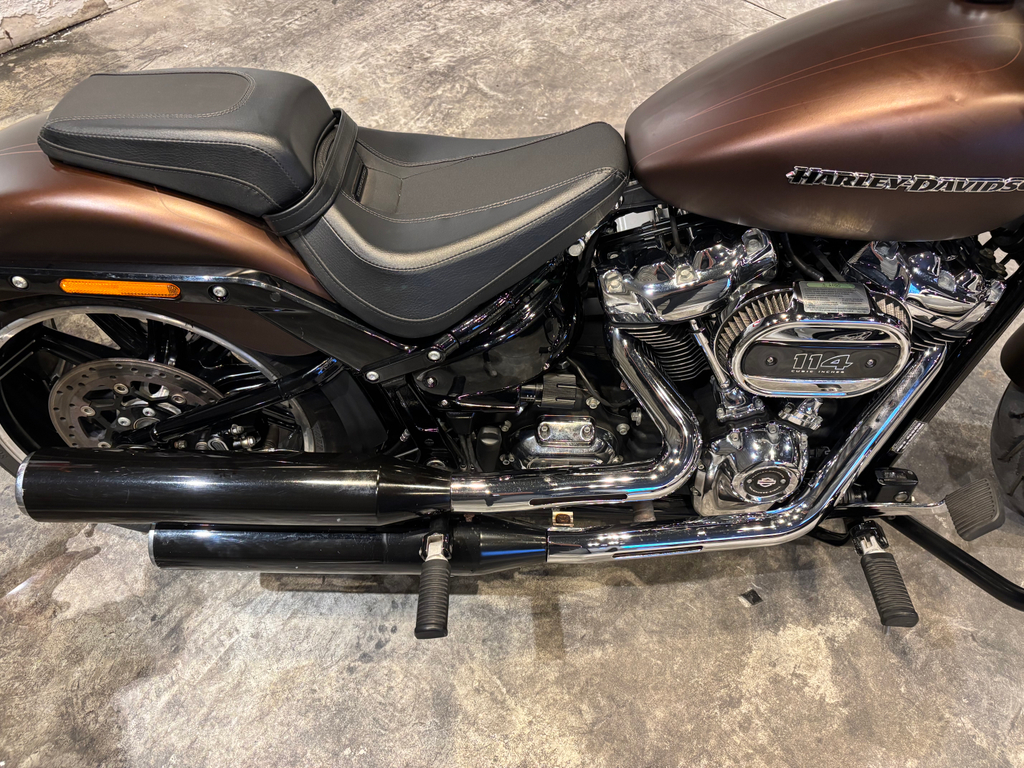 Harley-Davidson SOFTAIL Marrom