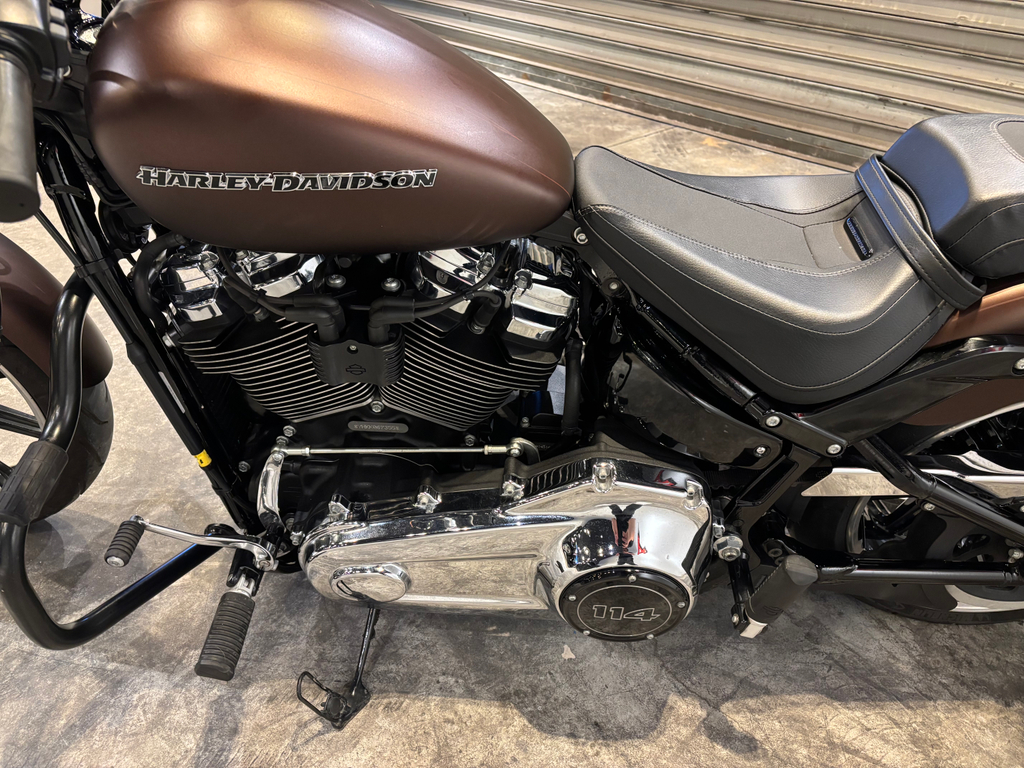 Harley-Davidson SOFTAIL Marrom