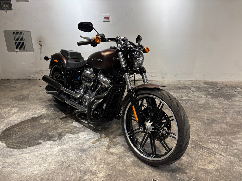 Harley-Davidson SOFTAIL Marrom