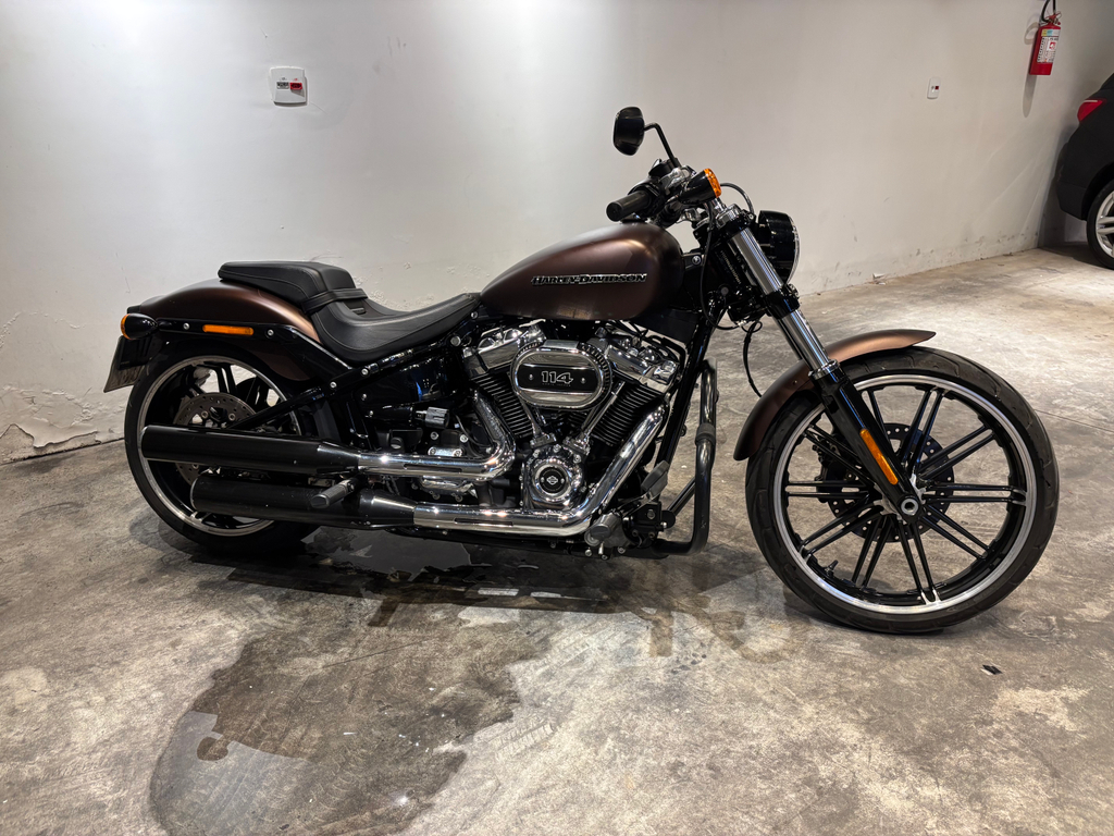 Harley-Davidson SOFTAIL Marrom