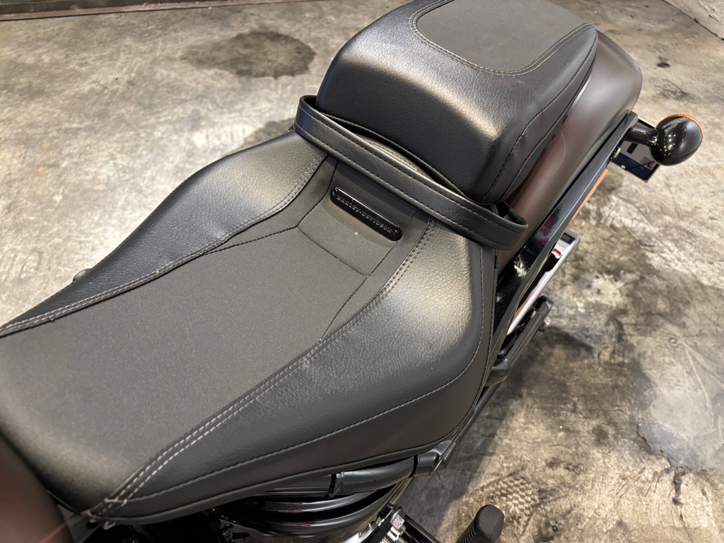 Harley-Davidson SOFTAIL Marrom