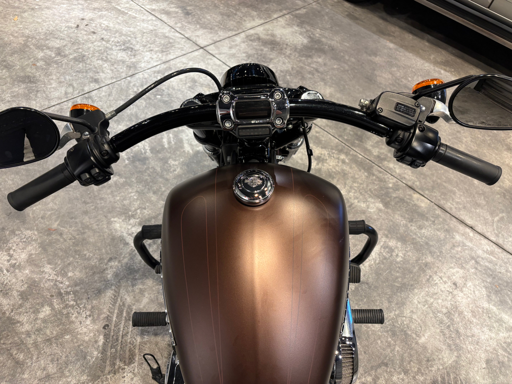 Harley-Davidson SOFTAIL Marrom