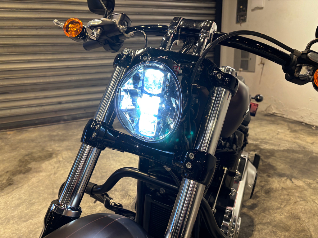 Harley-Davidson SOFTAIL Marrom