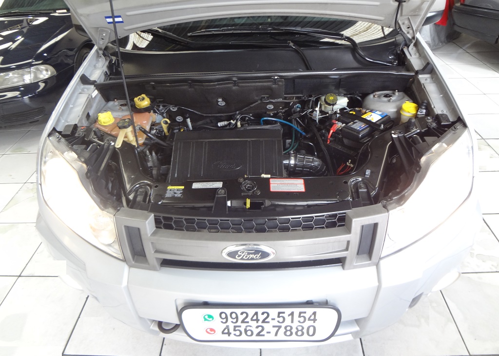 Ford EcoSport Prata