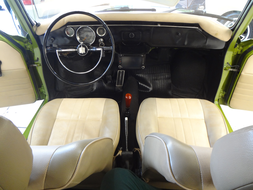 Volkswagen Variant Verde