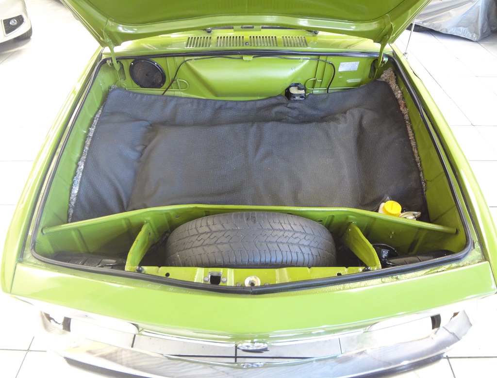 Volkswagen Variant Verde