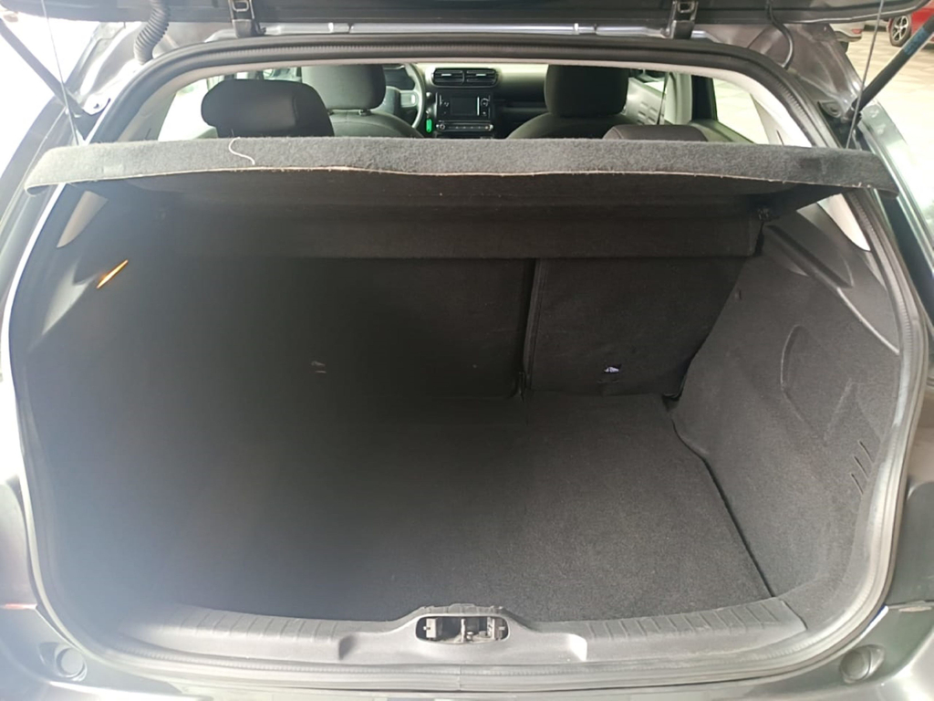 Citroen C4 Cactus Cinza