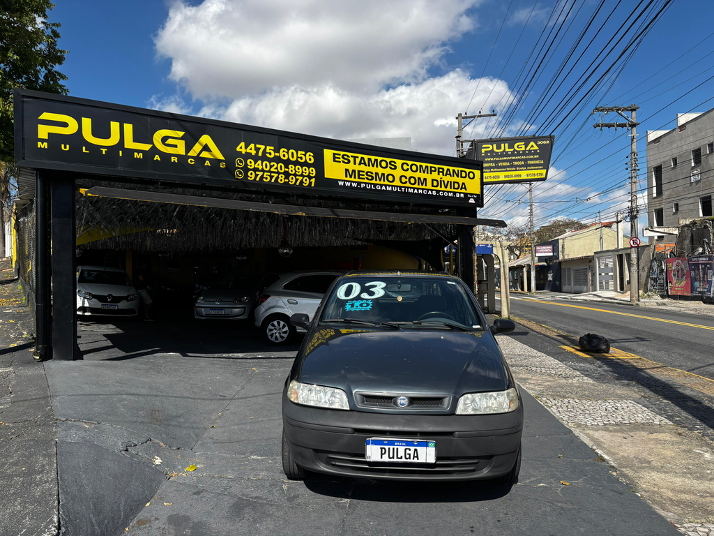 Fiat Palio Cinza